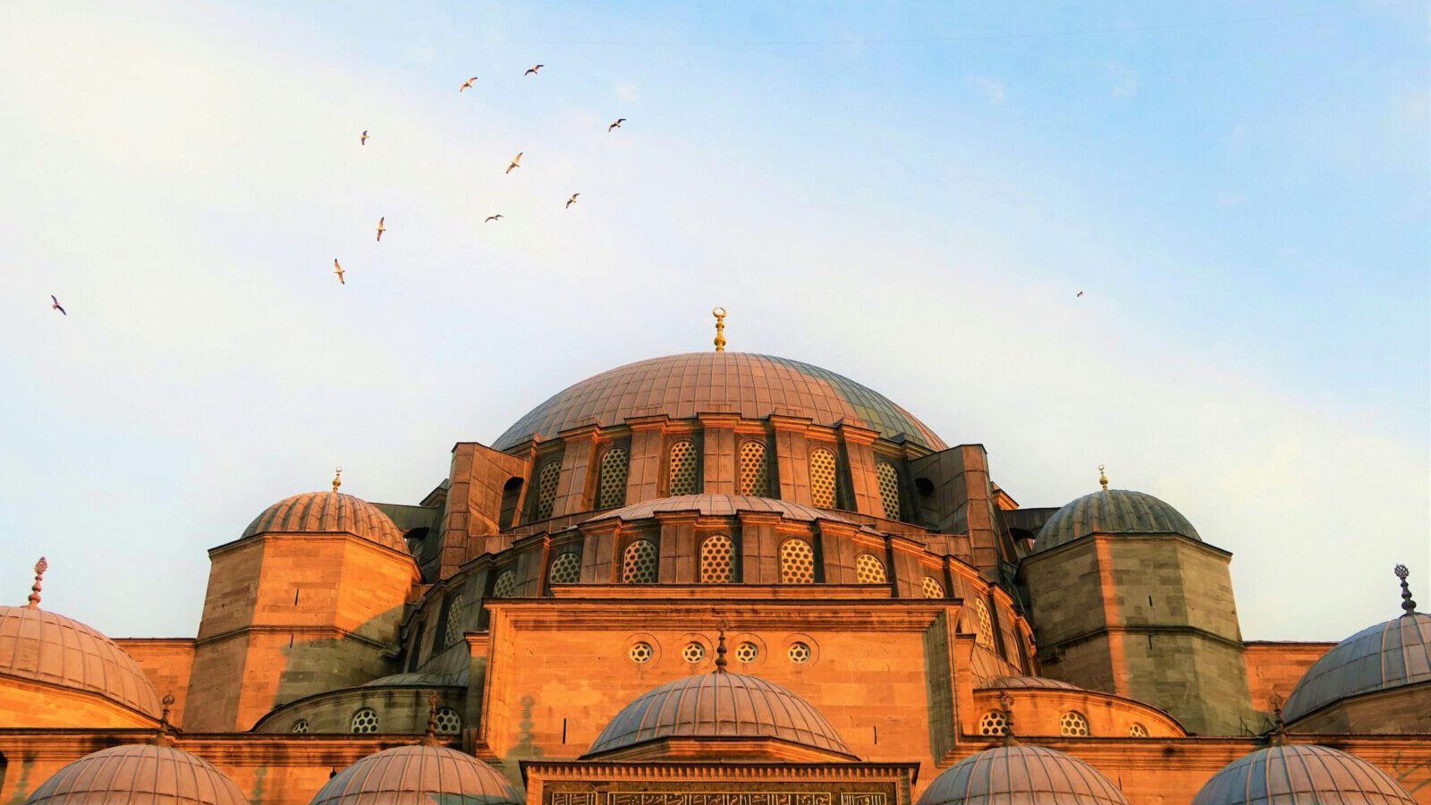 View of the Suleymaniye Mosque dome in Istanbul, Turkey, against a clear sky with birds flying.
